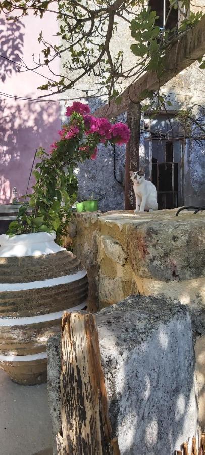 Vryses Crete-Village Vibes Exterior foto